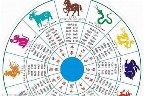 12生肖 五行